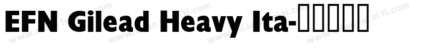 EFN Gilead Heavy Ita字体转换